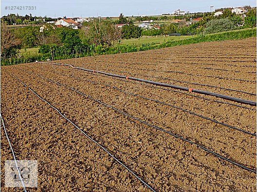 Satılık Arsa İlanları