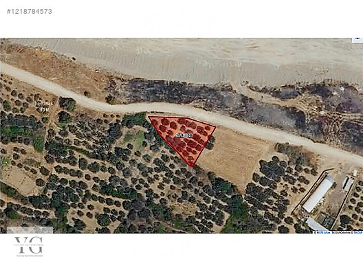Zeytinlik imarlı arsa